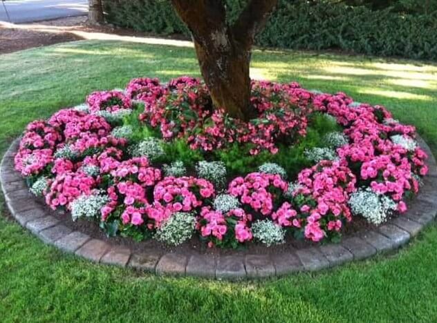 Circular Shade-Loving Annuals Flower Bed