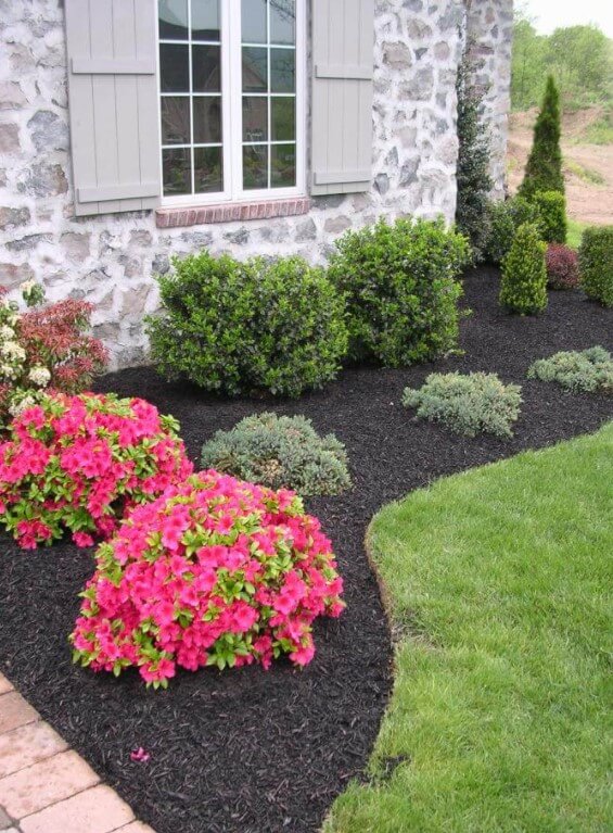 Low Maintenance Evergreen Border with a Pop of Color