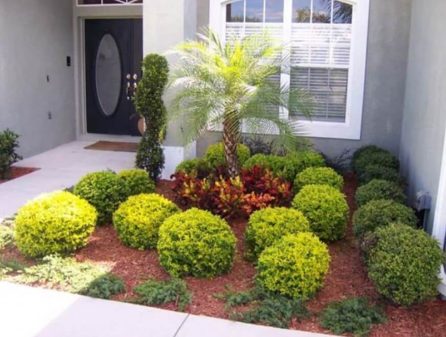 Low Maintenance Mediterranean