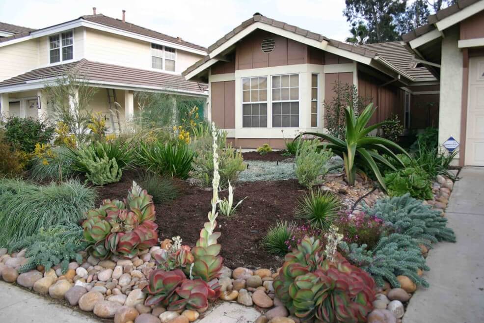 front of house landscape design - Western Water-Wise